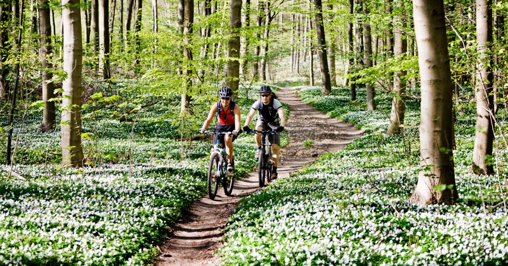 two cyclists on a bike trail